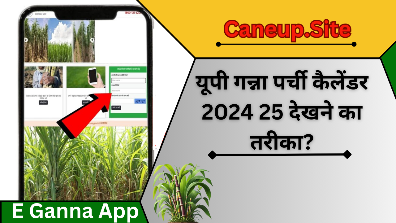 cane up -यूपी गन्ना पर्ची कैलेंडर 2024 25 देखने का तरीका?- enquiry cane up in