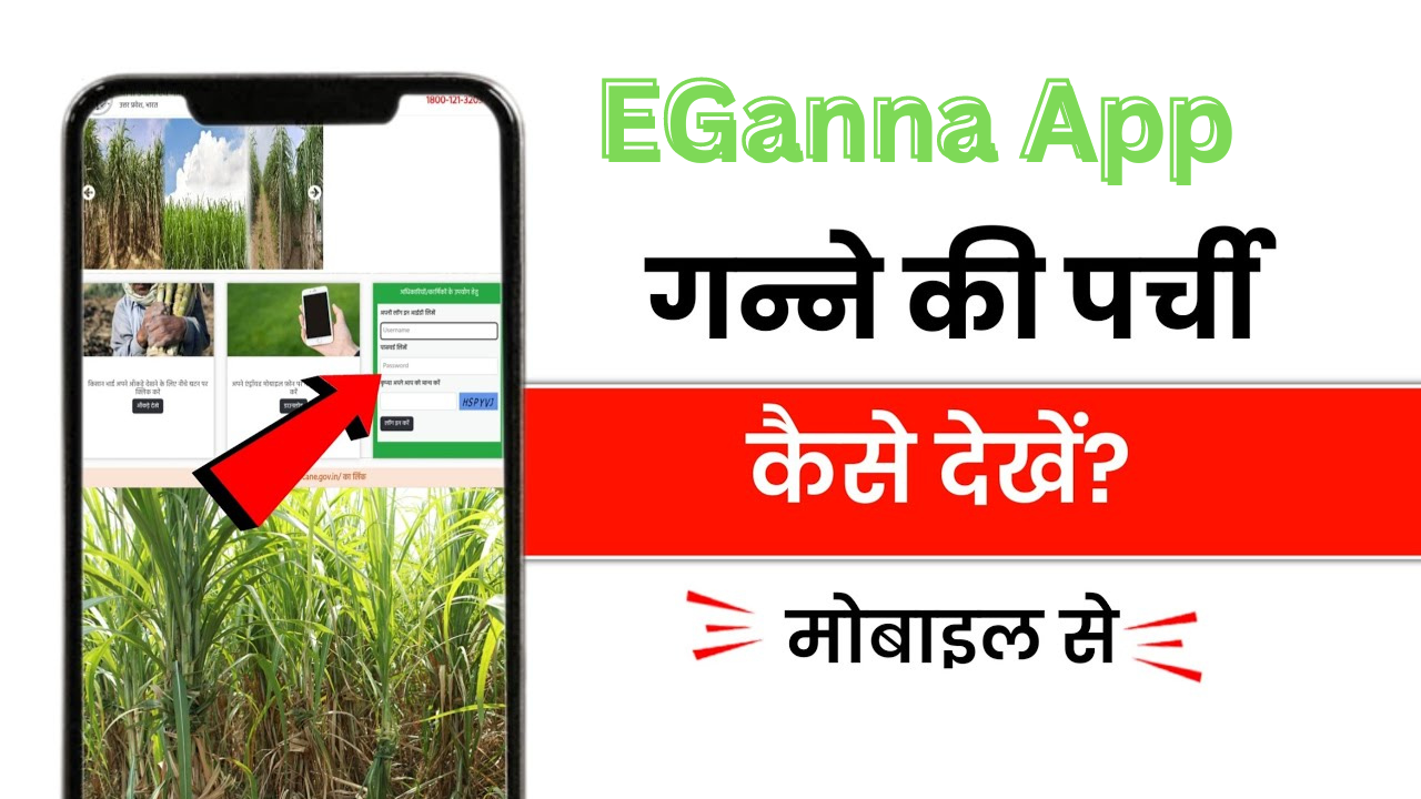 cane up.in | EGanna App | cane up in