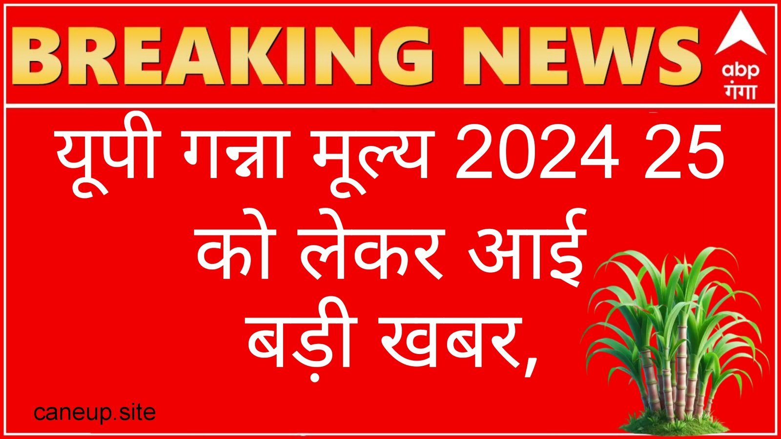 cane up:प्रदेश की सभी चीनी मिलें शुरू गन्ने का मूल्य घोषित नहीं.किसान